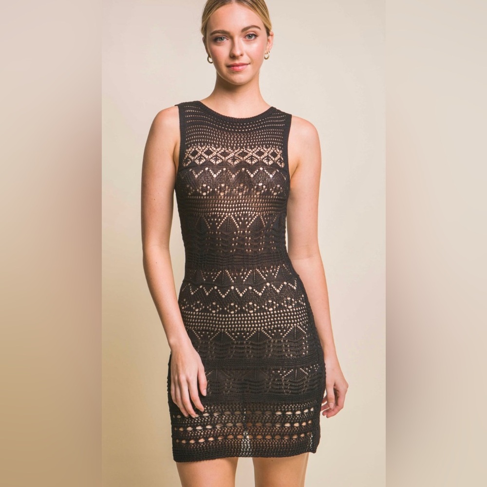 Alevy Black Crochet Lace Mesh Mini Dress